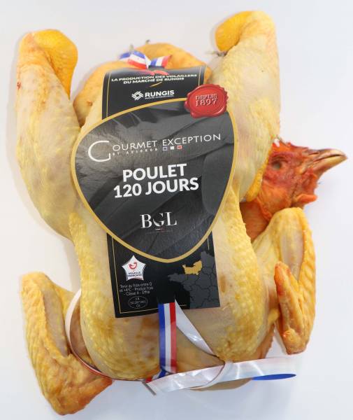 120 day old Chicken