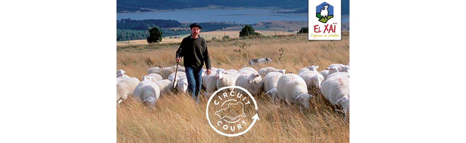 CATALAN LAMB (EL XAÏ)