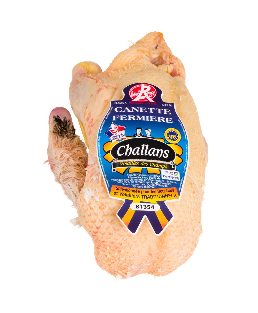 THE CHALLANDAIS DUCK