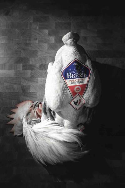 BRESSE POULTRY