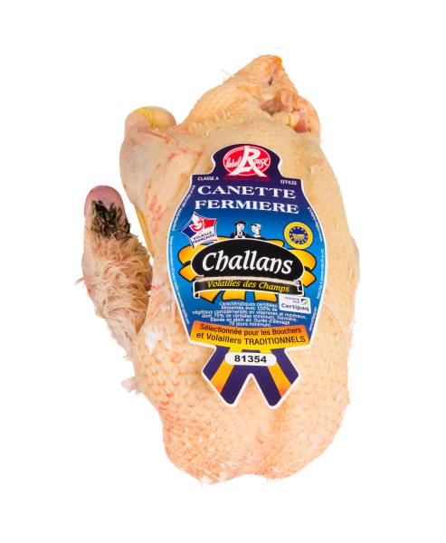 THE CHALLANDAIS DUCK