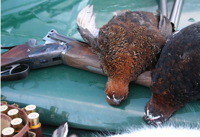 Our services in the sector of Brussels Belgium