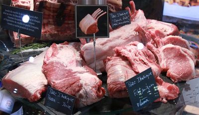 Our services in the sector of Berlin Germany