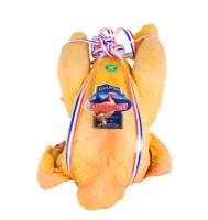 Our services in the sector of Brussels Belgium